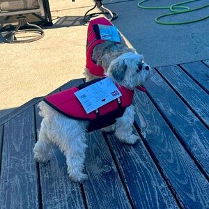 Size small dog life jacket vests